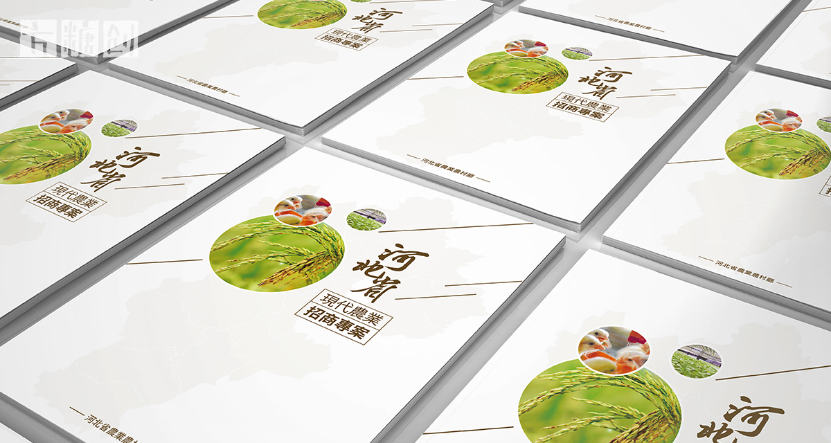 品牌形象与建设