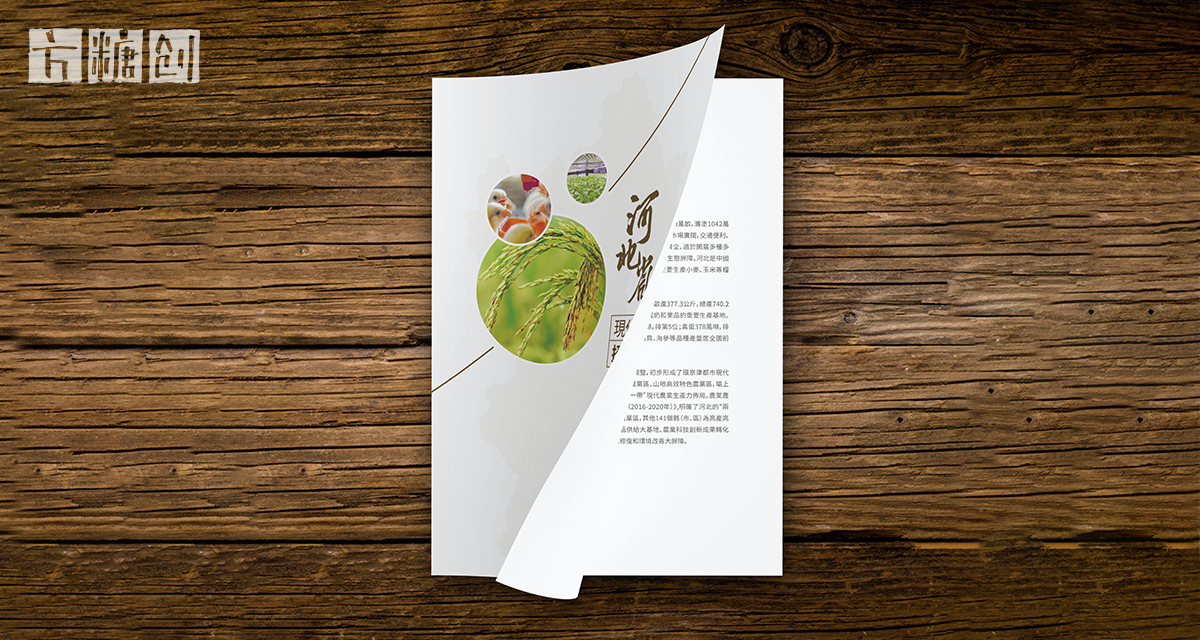 品牌形象与建设