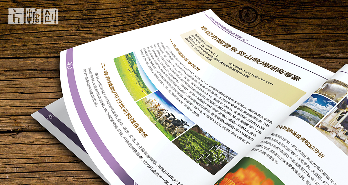 品牌形象与建设