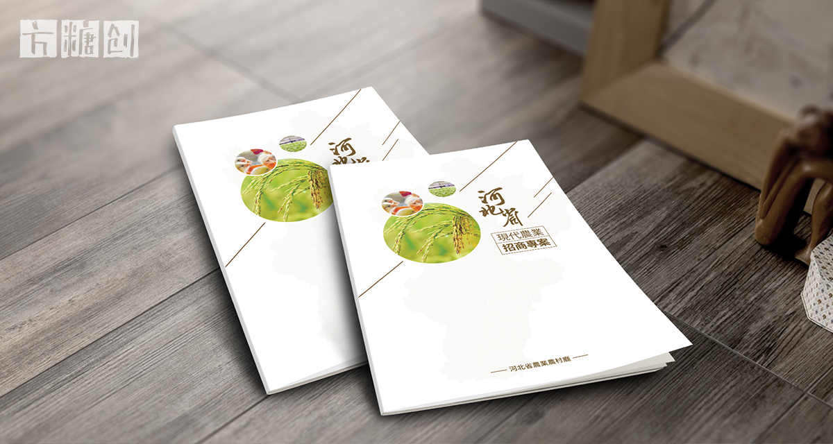 品牌形象与建设