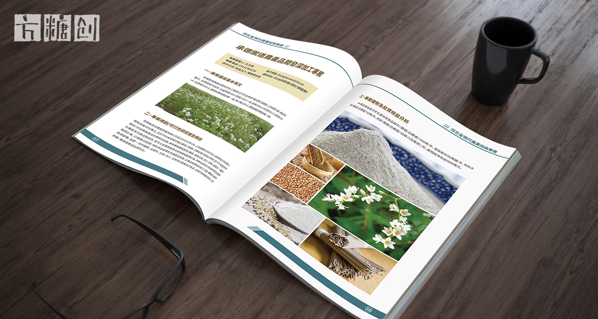 品牌形象与建设