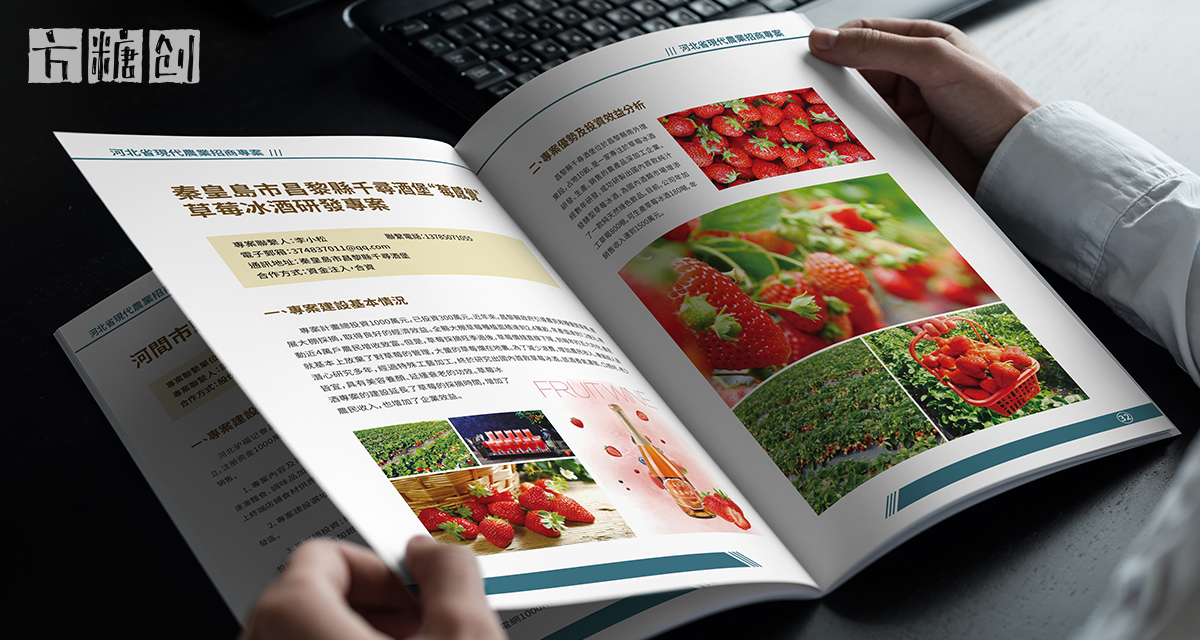 品牌形象与建设