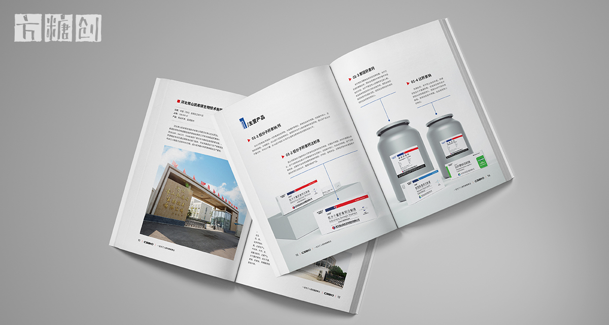 品牌形象与建设