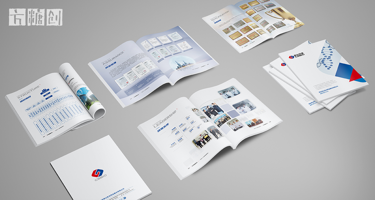 品牌形象与建设