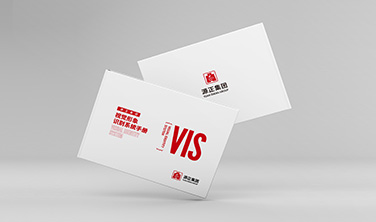 源正集团`VIS系统