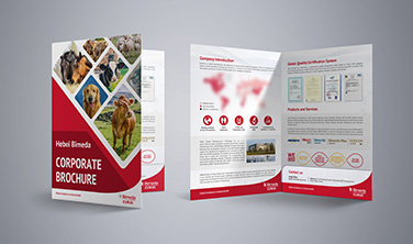 百美达`折页&手提袋