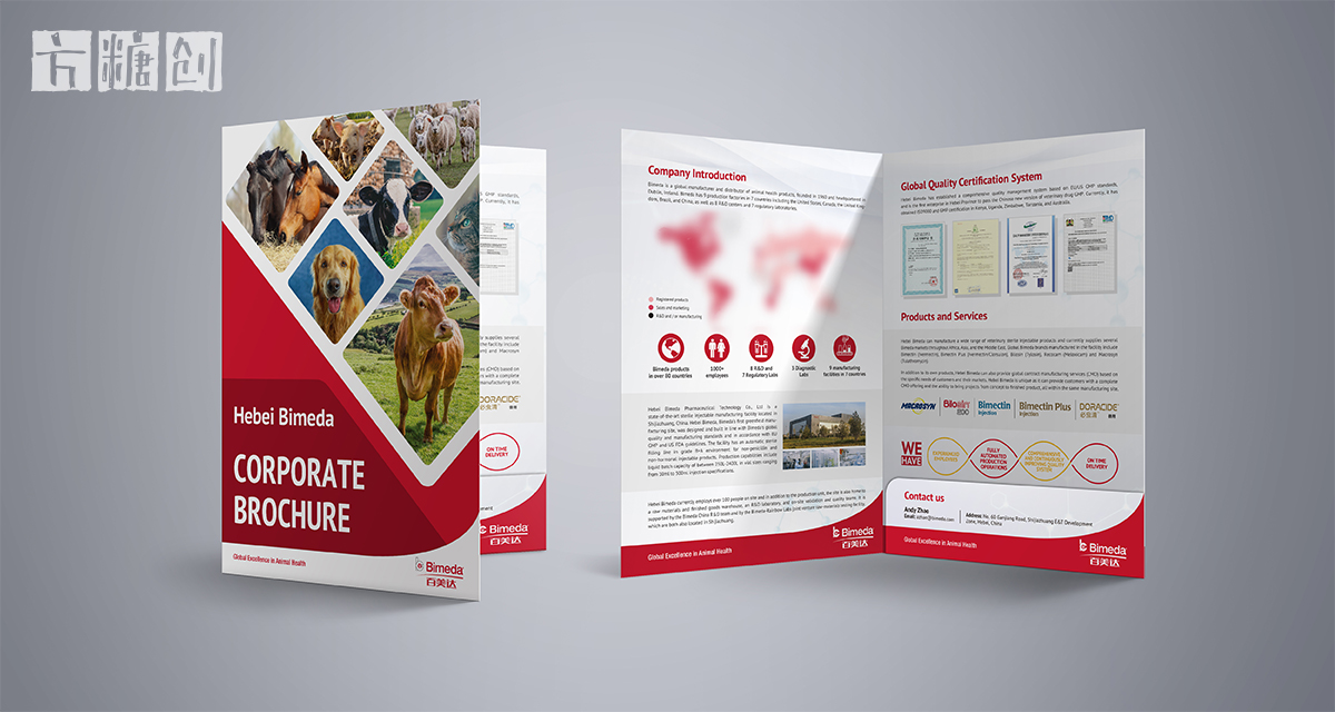 品牌形象与建设