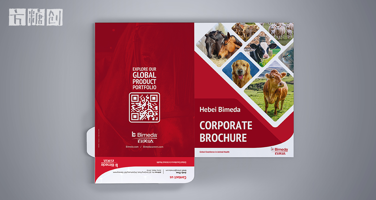 品牌形象与建设