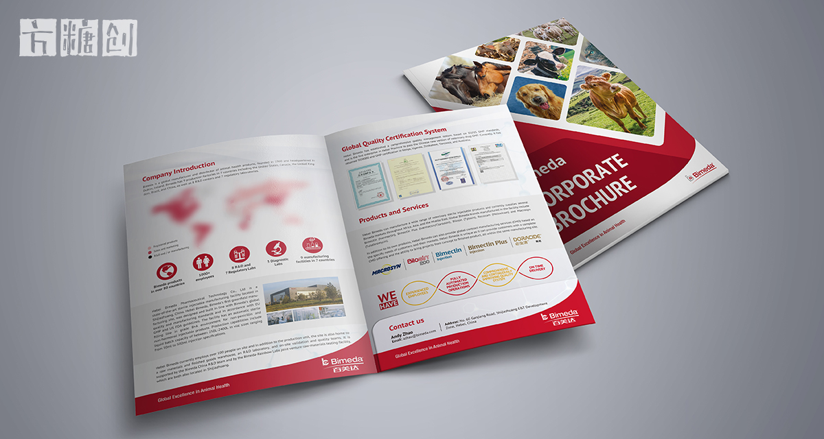 品牌形象与建设