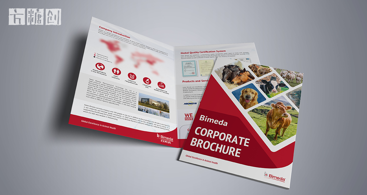 品牌形象与建设