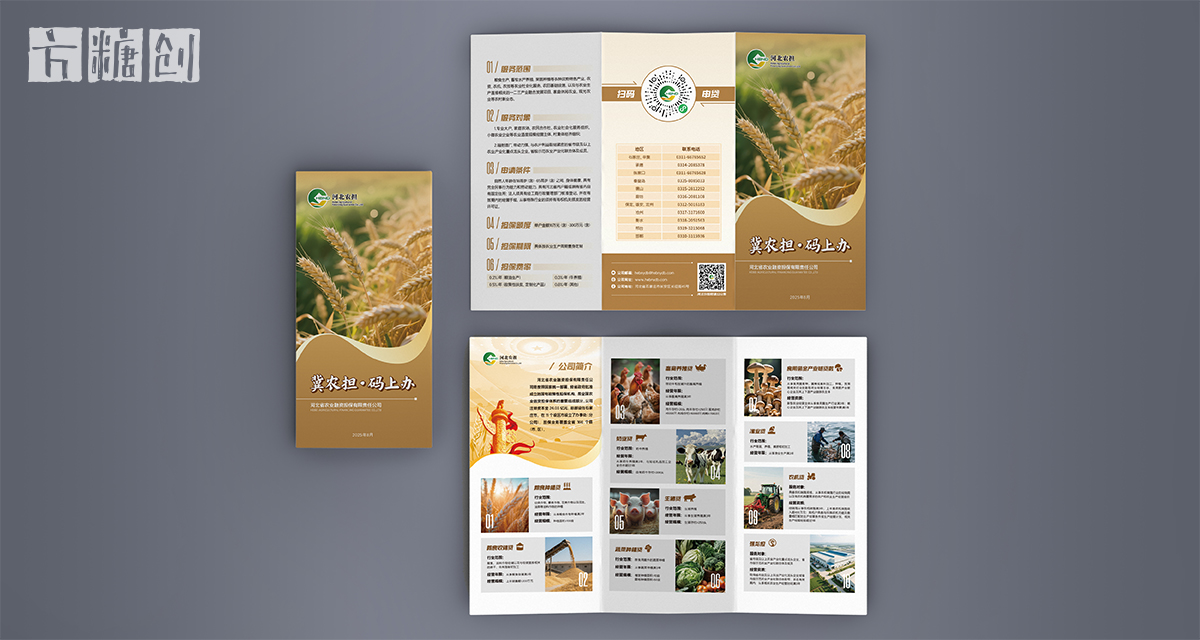 品牌形象与建设