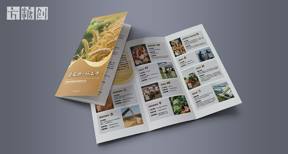 品牌形象与建设