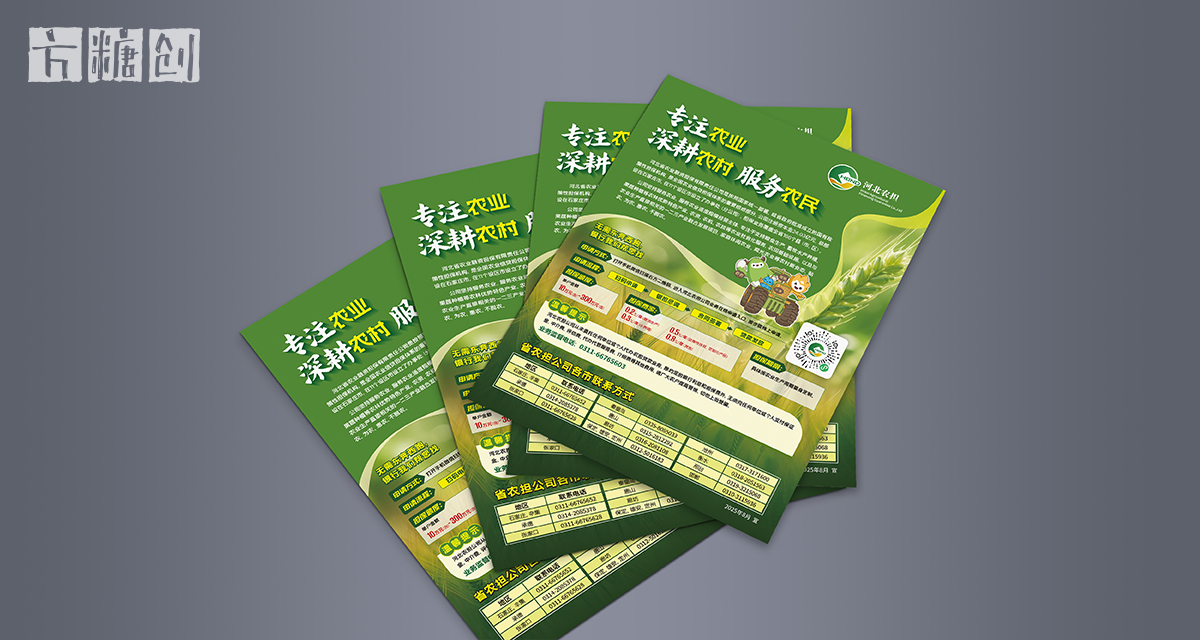 品牌形象与建设