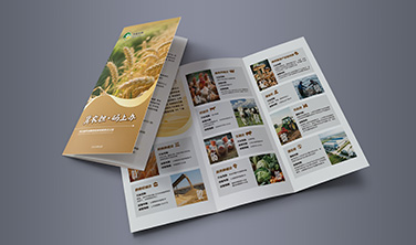 河北农担`折页&单页