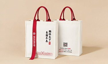 精英中学`立体帆布袋