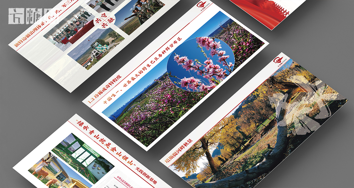 品牌形象与建设